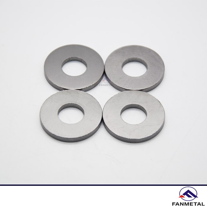 Pure Tantalum Plain Washers Pure Tantalum Plain Washers